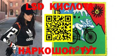 прущие крисы Пенза