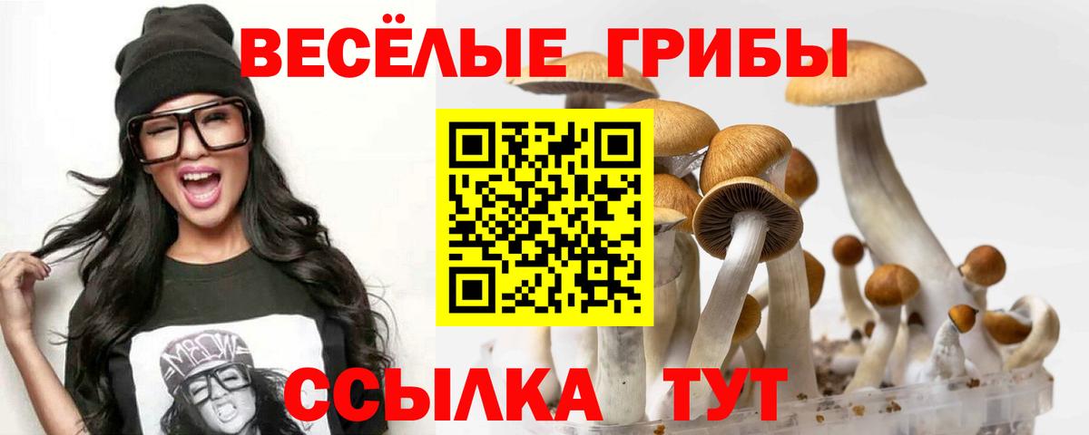 Псилоцибиновые грибы Psilocybine cubensis  Галлюциногенные грибы ЛСД  Советский  Вход с VPN 
