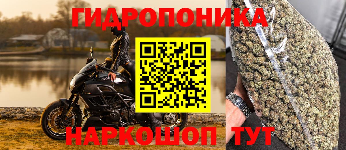 Канабис сатива Советский