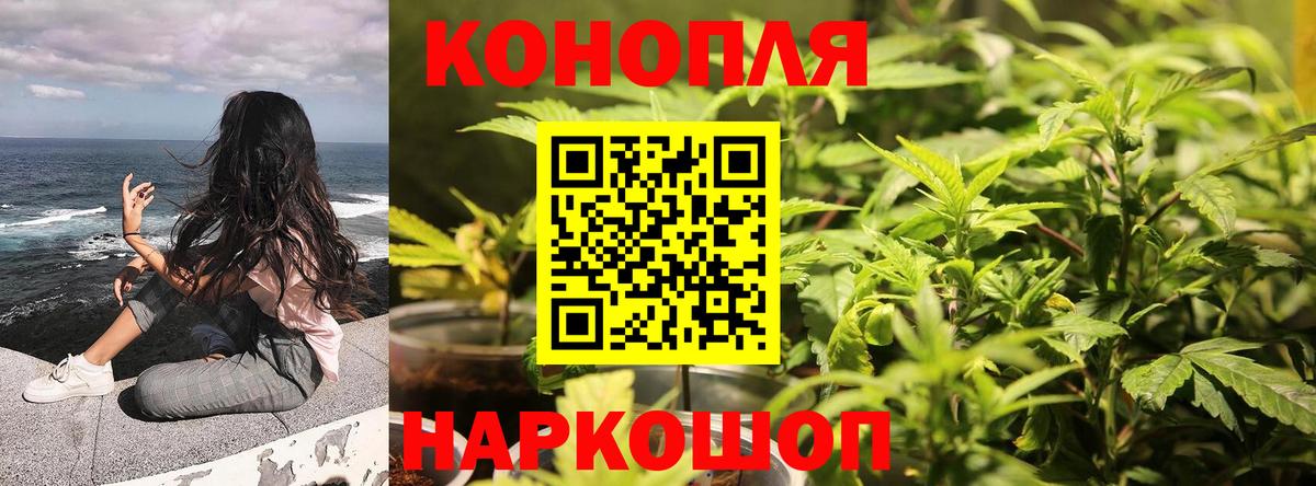 Бошки марихуана Bruce Banner  Вход с VPN  Марихуана LSD WEED  Советский 